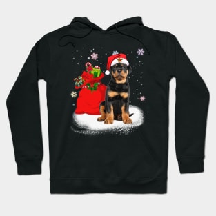 Christmas Santa Rottweiler Hoodie